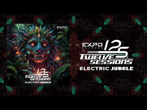 Twelve Sessions - Electric Jungle