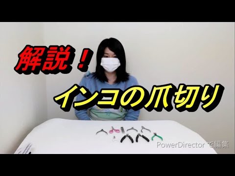 IUCN分類における絶滅の危険性を示す図。