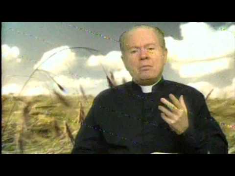 O Pão Nosso 30 Julho 2014 - Pe.F.C.Cardoso