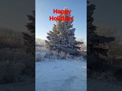 #Hashtag Big Christmas 🎄. #hashtag Happy Holidays. #ice fishing