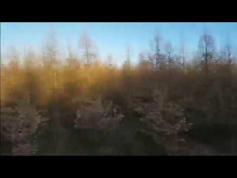 Ballada Rajdowa - wyk. Adam Chmiel - piosenki harcerskie