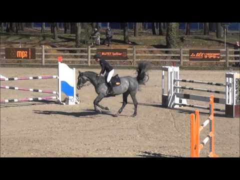 Cormino Cormint X Cassini "Cumano mother" CSI 6YH le mans