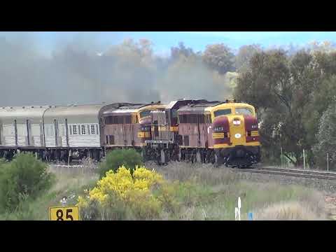 4473+4702+4464 Golden West Tour=Caroona