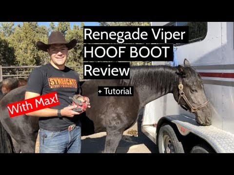 Renegade Viper HOOF BOOT Review + Tutorial