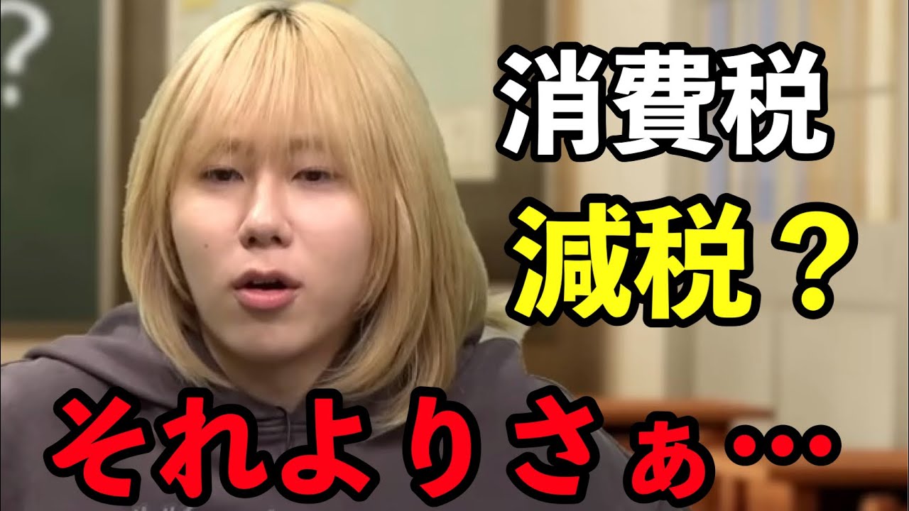 消費税減税とチームみらいについて