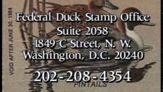 The Beautiful, Collectible Duck Stamp