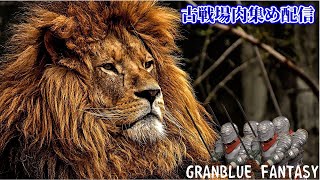 【グラブル】古戦場肉集め