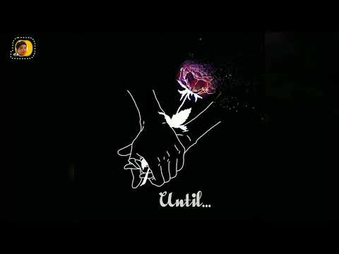 until the end by Shirley morrow lyrics #dl_4 🤘✨