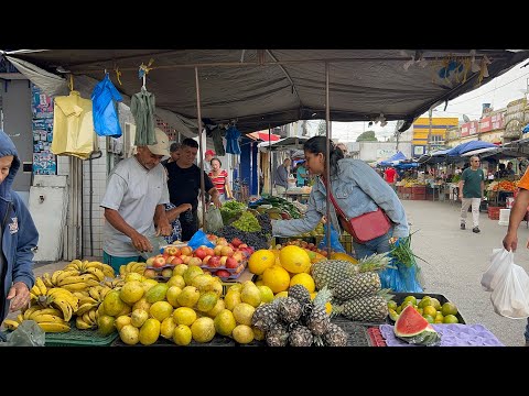 GRANDE FEIRA NA IBIAPINA CEARÁ DIA 06/09/26