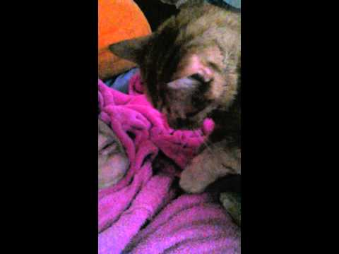 My Alarm clock Alchemist June 20, 2015