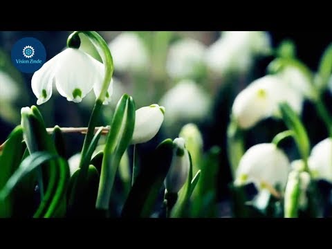 Prof. Dr. Mahmud Esad Coşan - Güzel Ahlak