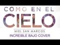 Miel San Marcos Increible Bajo Cover (HD)