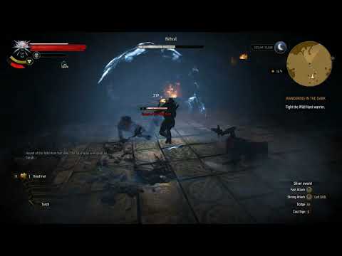 258 Let's play a bit of The Witcher 3 Wild Hunt