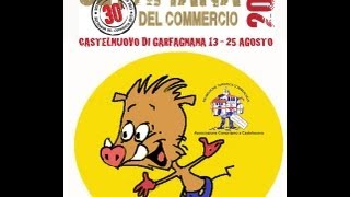 preview picture of video 'CAKE SHOW- 30° settimana commercio -notte viola -Castelnuovo di Garfagnana-'