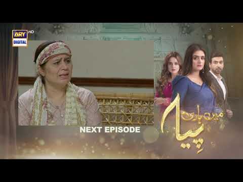 Mein Hari Piya Episode 22 - Teaser - ARY Digital Drama