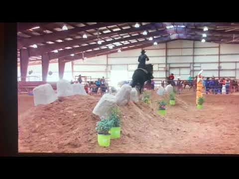 2017 Extreme Cowboy Race Annie Chance Nu Model Mercedes