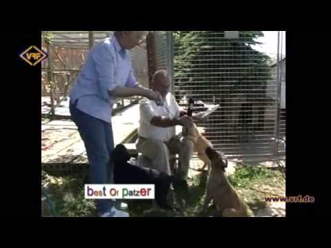 01/13 Die lustigsten VRF-Patzer