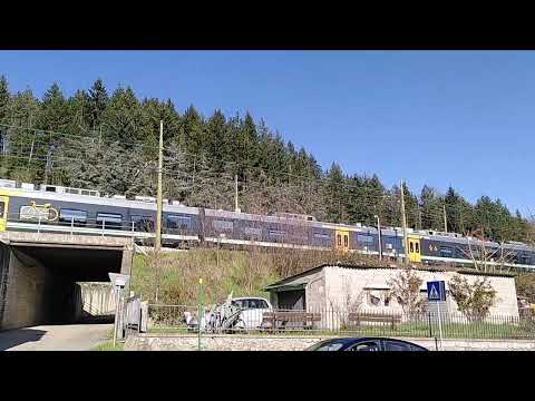 Trasporto Ferroviario Toscano ETR104 104 in arrivo a Stia: 28/03/2023.