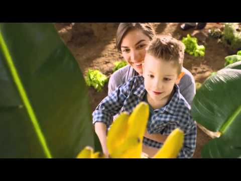 IDEA voće i povrće: Odaberi ZDRAVO, uberi SVEŽE