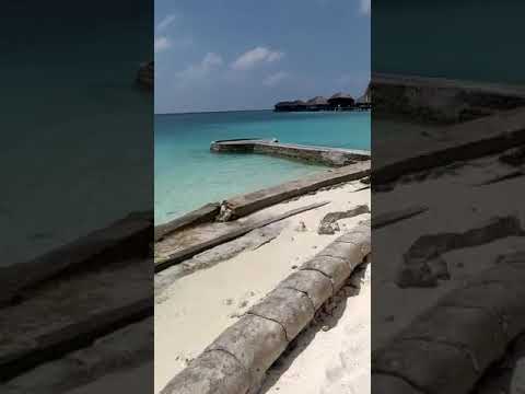 Coco body hithi Beach villa Maldives