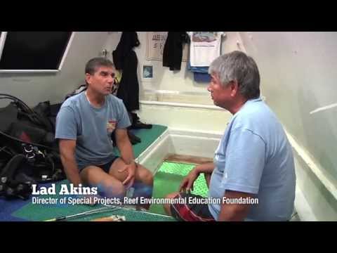 Why Classroom Under the Sea matters