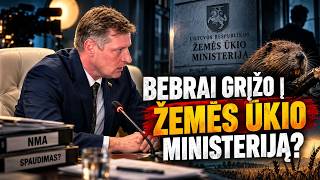 Reikalų ministerija: žemės ūkio ministras K. Mažeika dar nesupranta, kokią peklą užkūrė