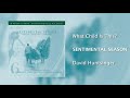 David Huntsinger - What Child Is This [Official Audio]