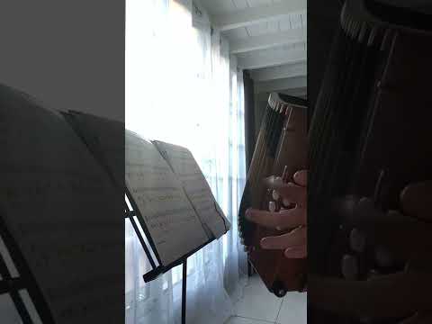 TOMBALAIKA 🇺🇦🇺🇦 débutant