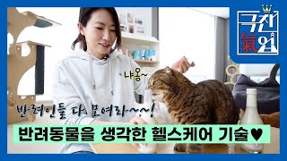 [극찬기업] 반려인들 다 모여라! 반려동물을 생각한 헬스케어 기술