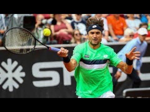 David Ferrer vs Alexandr Dolgopolov Highlights BASTAD 2017 FINAL