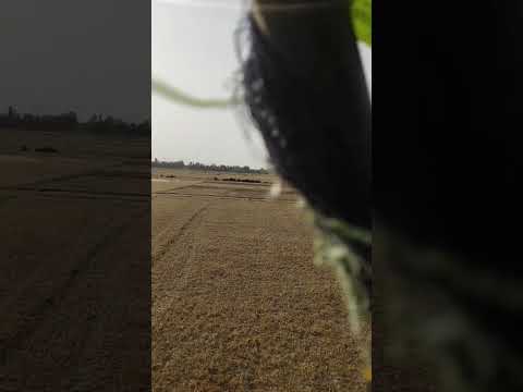 🌾combine harvester🌾❤#khetibadi #combine #combineharvester #harvester #short #shorts #shortvideo