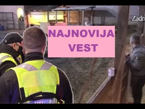JEZIIIVO i UŽASNO - Pokret Levijatan HIIITNO REAGOVAO - Objavili JEZIVE SNIMKE #zadruga #zadrugainfo