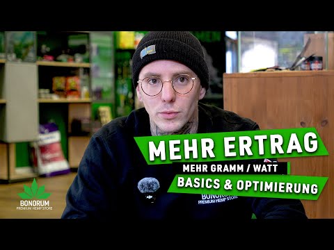 More yield per watt: Know the basics and optimize your grow setup for maximum results!