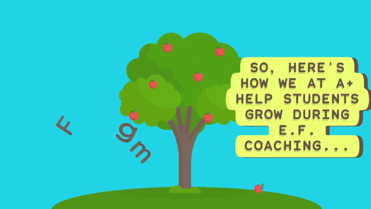 Executive Function Coaching with A+ Test Prep and Tutoring