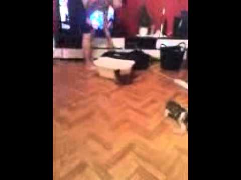 Miau miau katzenjagd witzig 1