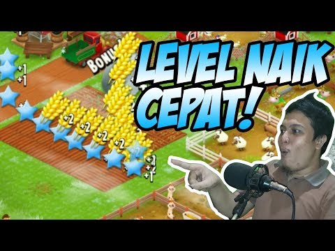 Cara Cepat Kaya Hay Day, artikel Cara Cepat Kaya Hay Day gratis, video trending Cara Cepat Kaya Hay Day