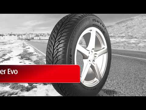 Universalios padangos Matador  MP62 ALL WEATHER EVO