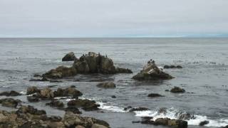 Wisdom of The Elohim — Part 10/12: Duality and The Sexes