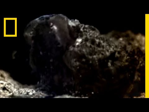 download lagu mp3 mp4 Stonefish Wiki, download lagu Stonefish Wiki gratis, unduh video klip Stonefish Wiki