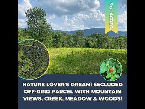 Undisputed Privacy in the Catskills: 5 Acre Off-Grid Land for Sale! Escape Chaos & Embrace Serenity!