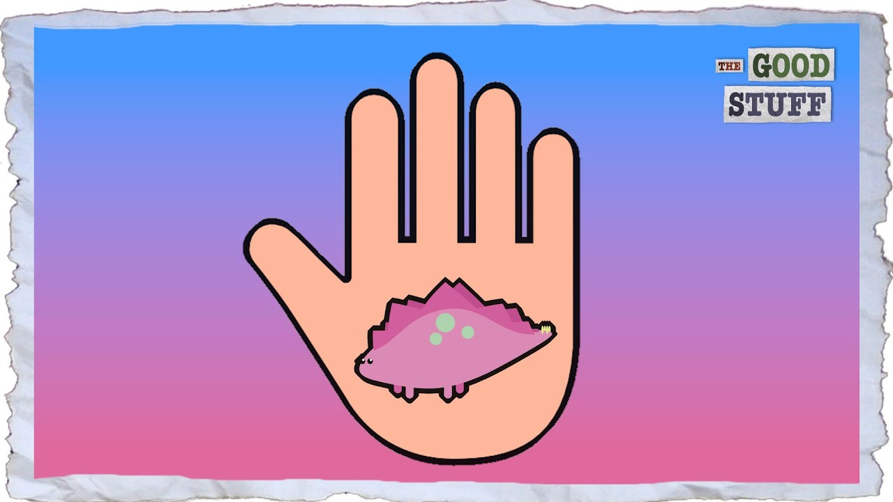 The Mystery of the Left-handed Stegosaurus