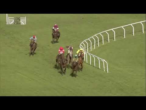 Cheltenham Festival 2019 Day 1 - All Finishes