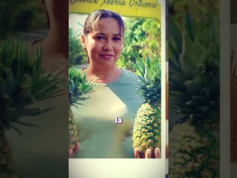 🍍 ¿Buscando un plan diferente para este fin de semana? - 📅 13 y 14 de junio