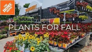 Home Depot Inventory Mid August 2025. Ready for Fall Planting! Shrubs & Perennials Plant Shopping