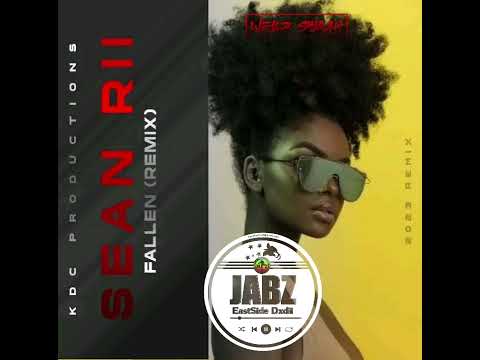 Sean Rii_Fallen (Wellz Remix) @KDC.Production
