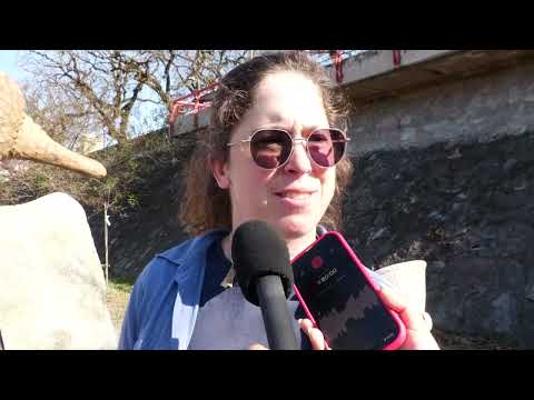 Presentaron las esculturas de los gliptodontes que habitaron la zona del río Xibi Xibi