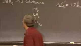 Lec 5 | MIT 7.014 Introductory Biology, Spring 2005