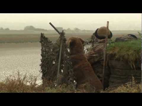 Introduction to Wildfowling