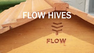 Flow Hive