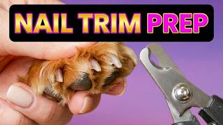 How to Trim a Cavalier King Charles Spaniel’s Nails | Trust & Foundation